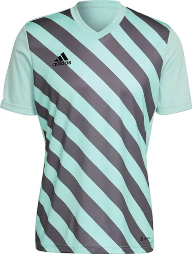 adidas - Entrada 22 GFX Jersey - Heren Voetbalshirt