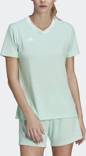 adidas Performance Entrada 22 Voetbalshirt - Dames - Turquoise