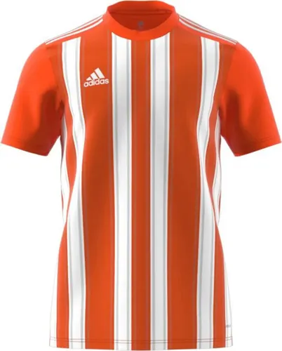 Adidas Striped 21 Shirt Korte Mouw Heren - Oranje / Wit |