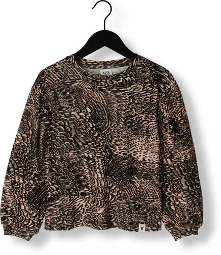 ALIX MINI Meisjes Tops & T-shirts Knitted Feather Animal Top - Bruin