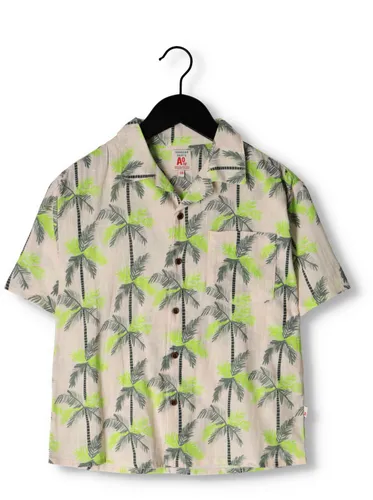 AO76 Jongens Overhemden Hawaiian Palms Shirt - Groen