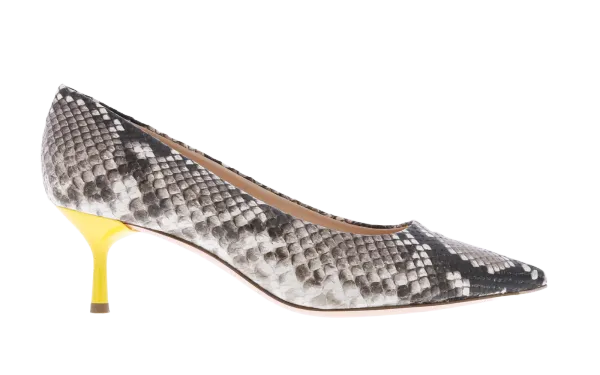 Attilio Giusti Leombruni Dames python bicolor
