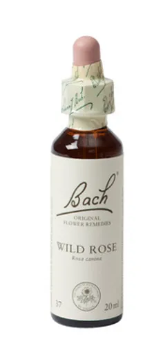 Bach Flower Remedies Hondsroos 37