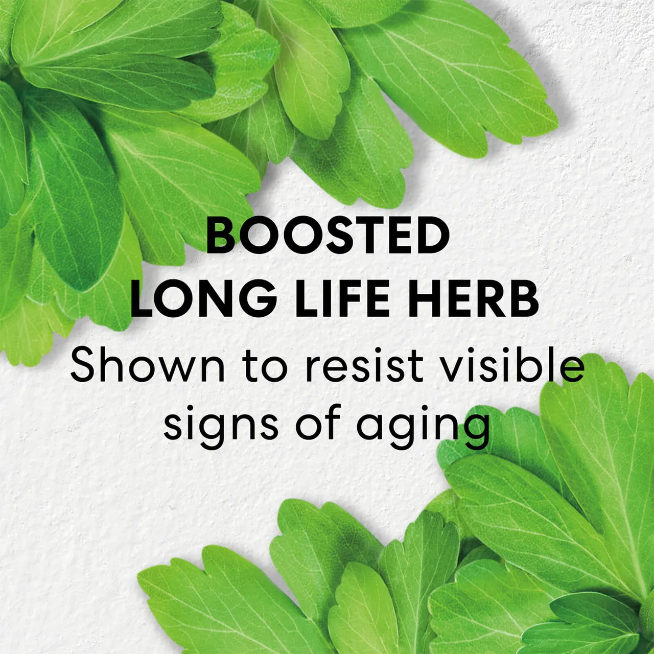 bareMinerals Skinlongevity Long Life Herb Serum 50ml