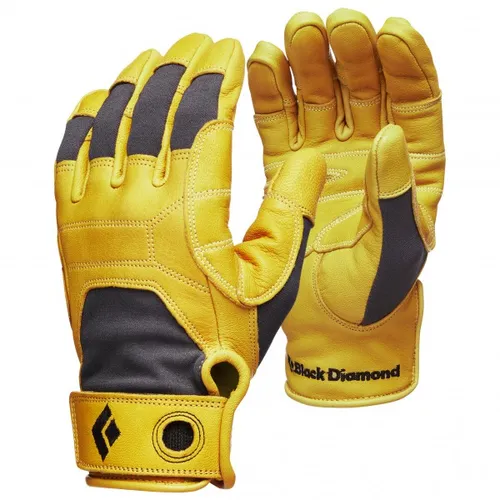 Black Diamond - Transition Gloves