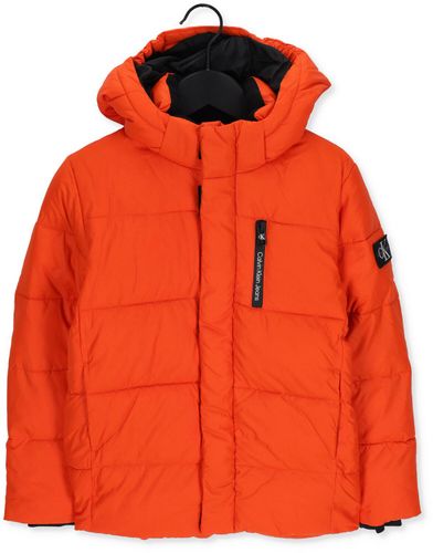 Calvin Klein Gewatteerde jas Essential Puffer Jacket Oranje Jongens