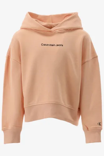 Calvin klein hoodie ckj logo boxy hoodie