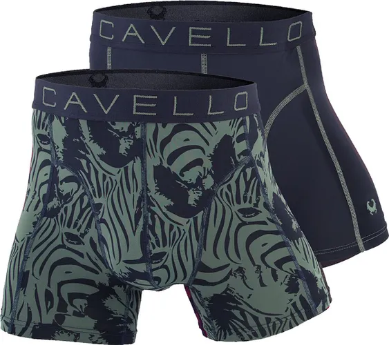 Cavello Microfiber Boxershorts 2-pack Dark Grey