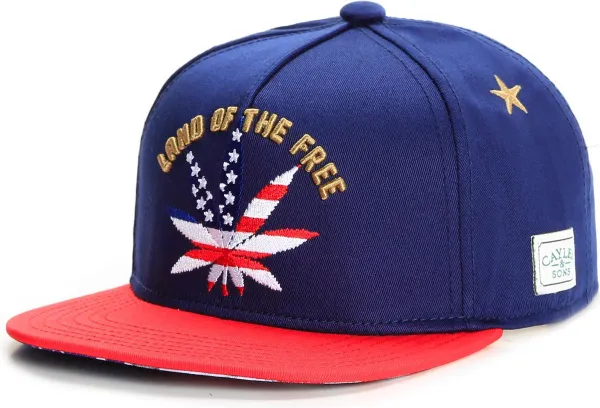 Cayler & Sons - Land of the Free snapback cap - Blauw