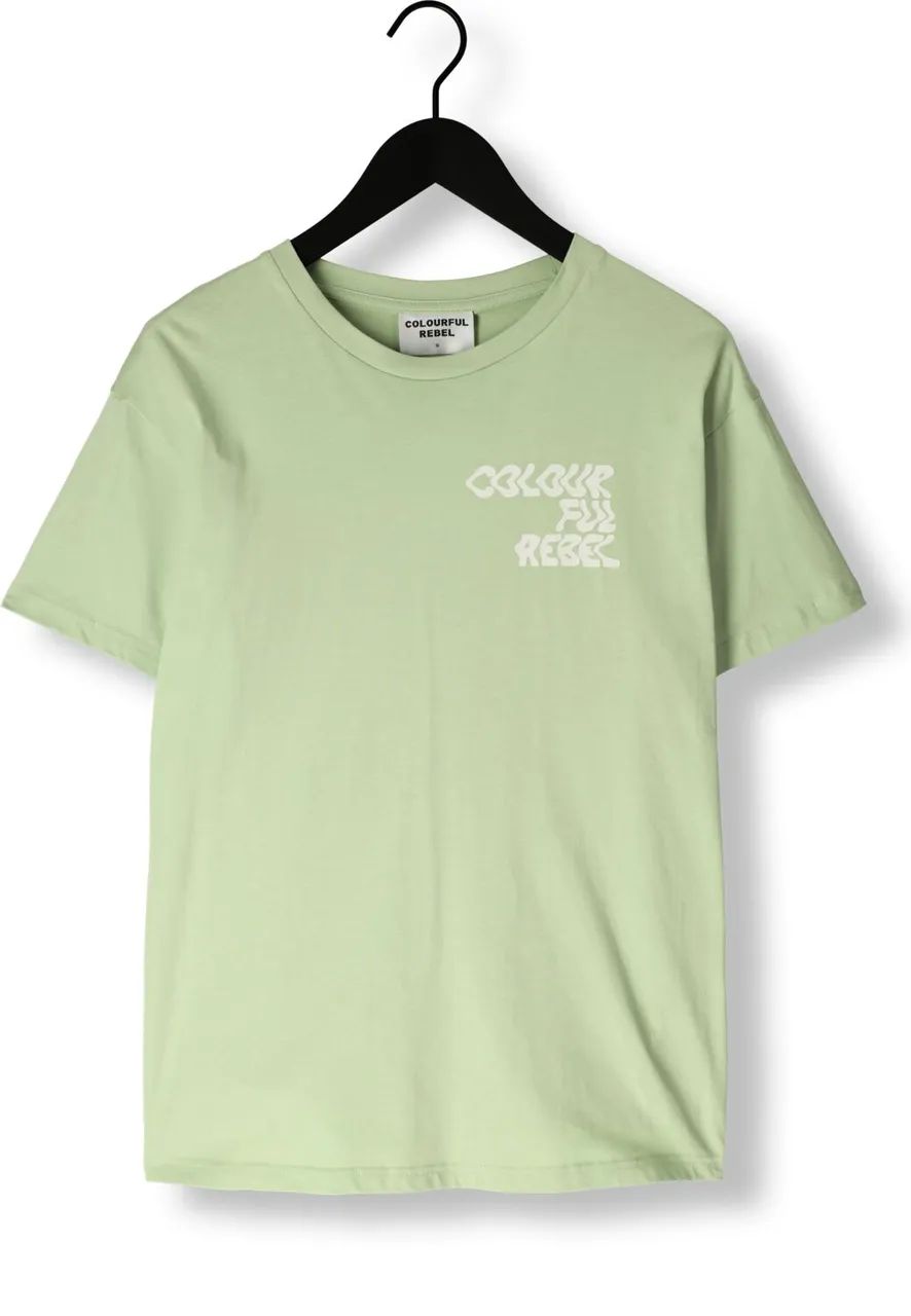 COLOURFUL REBEL Dames Tops & T-shirts Logo Wave Loosefit Tee - Mint