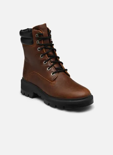Cortina Valley 6in BT WP by Timberland