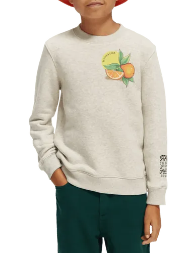 Crewneck artwork sweatshirt in Organic Cotton - Maat 4 - Multicolor - Jongen - Trui - Scotch & Soda