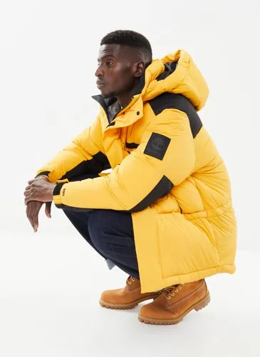 DWR Recycled Down Puffer Parka by Timberland