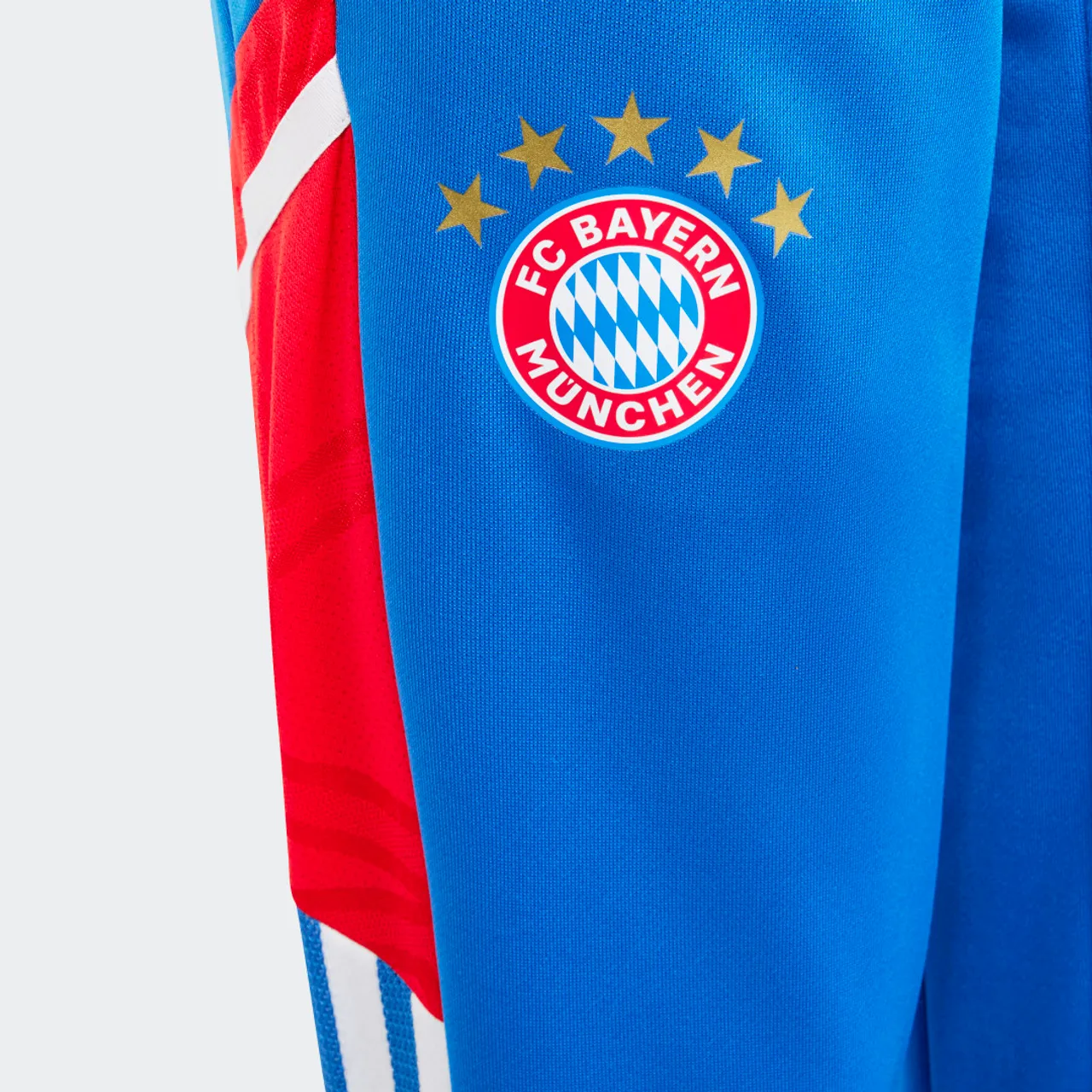 FC Bayern Condivo 22 Training Pants