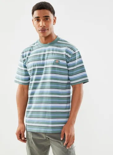 Glade Spring tee SS Hrznt by Dickies