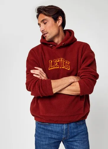 Graphic Cozy Up Hoodie 34 Varsity Center by Levi's