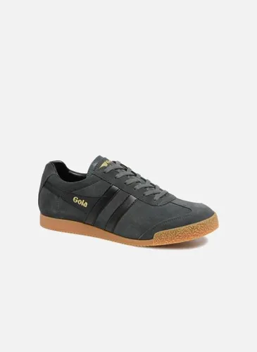 Harrier Suede by Gola