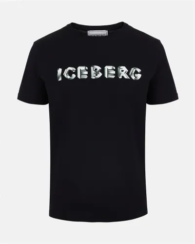 Iceberg 3d logo big branding