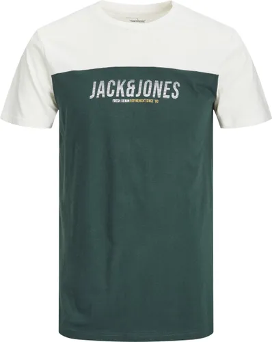 JACK & JONES PLUS JJEDAN BLOCKING TEE SS O-NECK NOOS PLS Heren T-shirts