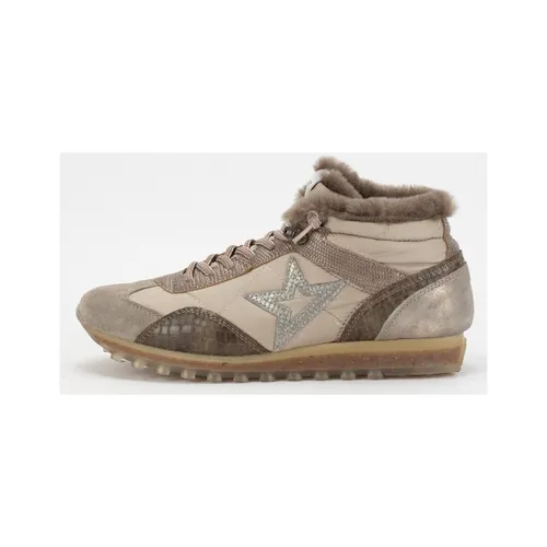 Lage Sneakers Cetti 32123