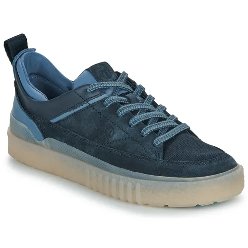 Lage Sneakers Clarks SOMERSET LACE