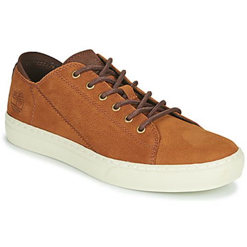 Lage Sneakers Timberland ADV 2.0 CUPSOLE MODERN OX