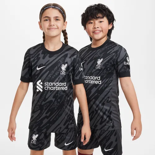 Liverpool FC Stadium Goalkeeper Nike Dri-FIT replica voetbalshirt met korte mouwen voor kids - Grijs