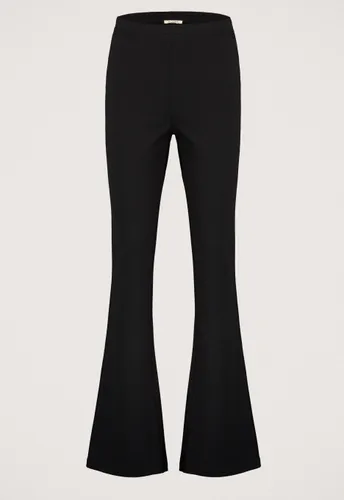 Madness Marly Broek