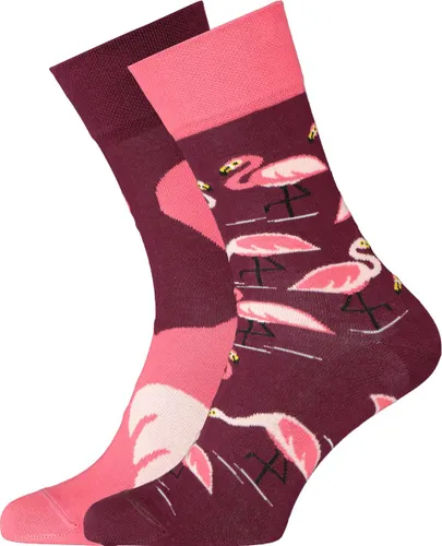 Many Mornings sokken - Pink Flamingo - Unisex