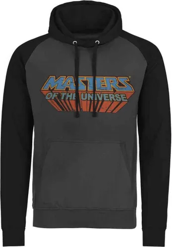 Masters Of The Universe Hoodie/trui -M- Washed Logo Grijs/Zwart