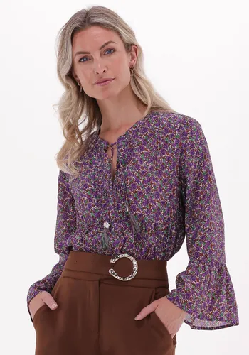 MOLIIN Dames Blouses Ivy - Paars