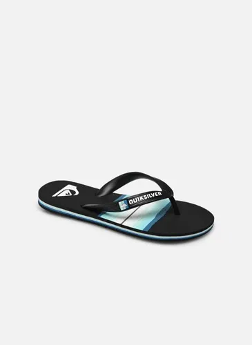 Molokai Resin Tint Youth by Quiksilver