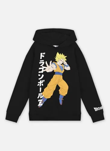 Nkmjoch Dragonball Sweat Wh Bru Noos Vde by Name it