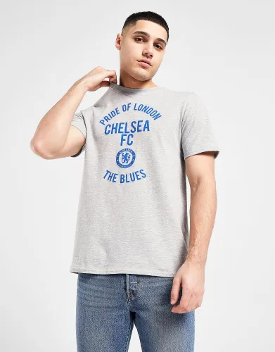 Official Team Chelsea FC Pride Of London T-Shirt, Grey
