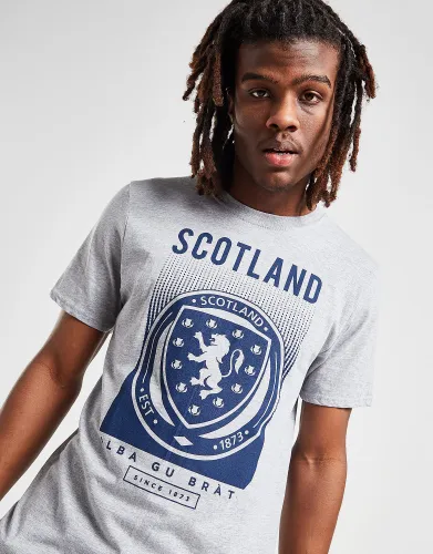 Official Team Scotland Fade T-Shirt, Grey