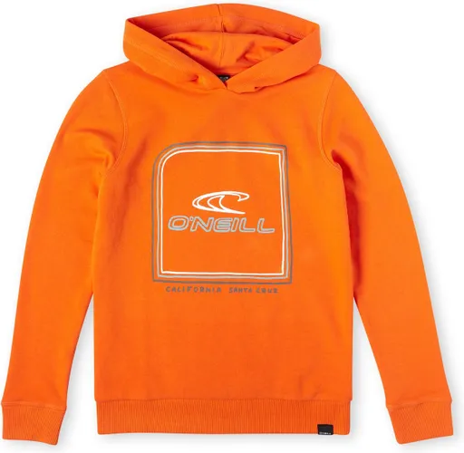 O'Neill Sweatshirts Boys CUBE Puffin's Bill 152 - Puffin's Bill 60% Cotton, 40% Recycled Polyester