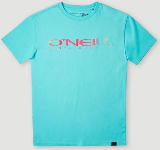 O'NEILL T-Shirts SANBORN T-SHIRT