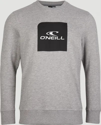 O'Neill Trui Cube Crew Sweatshirt - Silver Melee -A - S