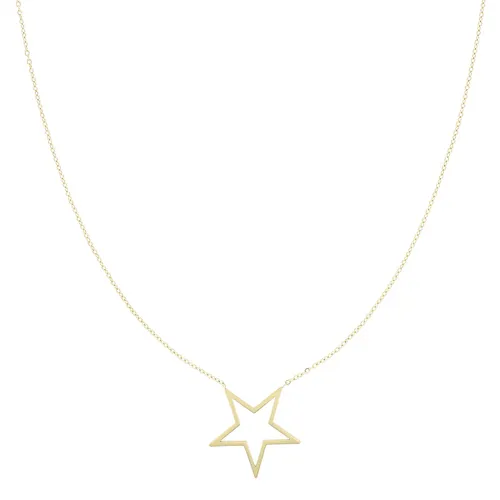OOZOO Jewellery - goudkleurige ketting met grote ster - SN-2022
