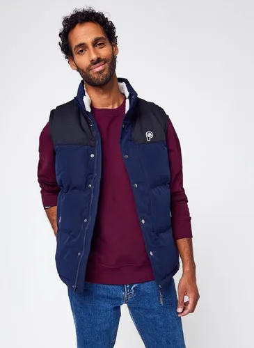 P Bear Cut And Sew Funnel Neck Puffer Gilet by Penfield