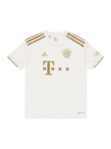 PERFORMANCE Functioneel shirt 'FC Bayern München 22/23'  goud / wit
