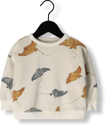 PLAY UP Jongens Truien & Vesten Printed Fleece Sweater - Beige