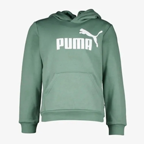 Puma ESS Big Logo kinder hoodie groen