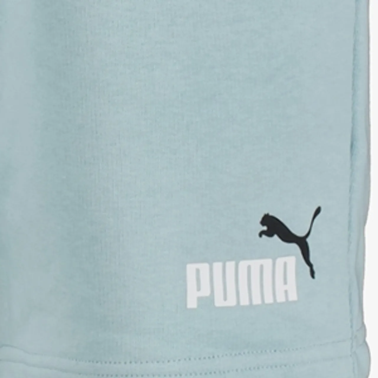 Puma ESS Col 2 Shorts 10 heren short blauw
