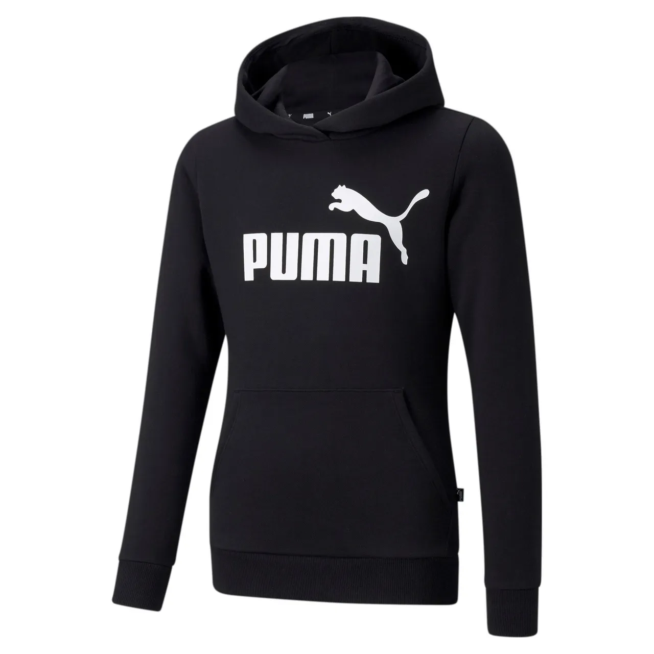 Puma Essential Logo Hoodie Fleece
