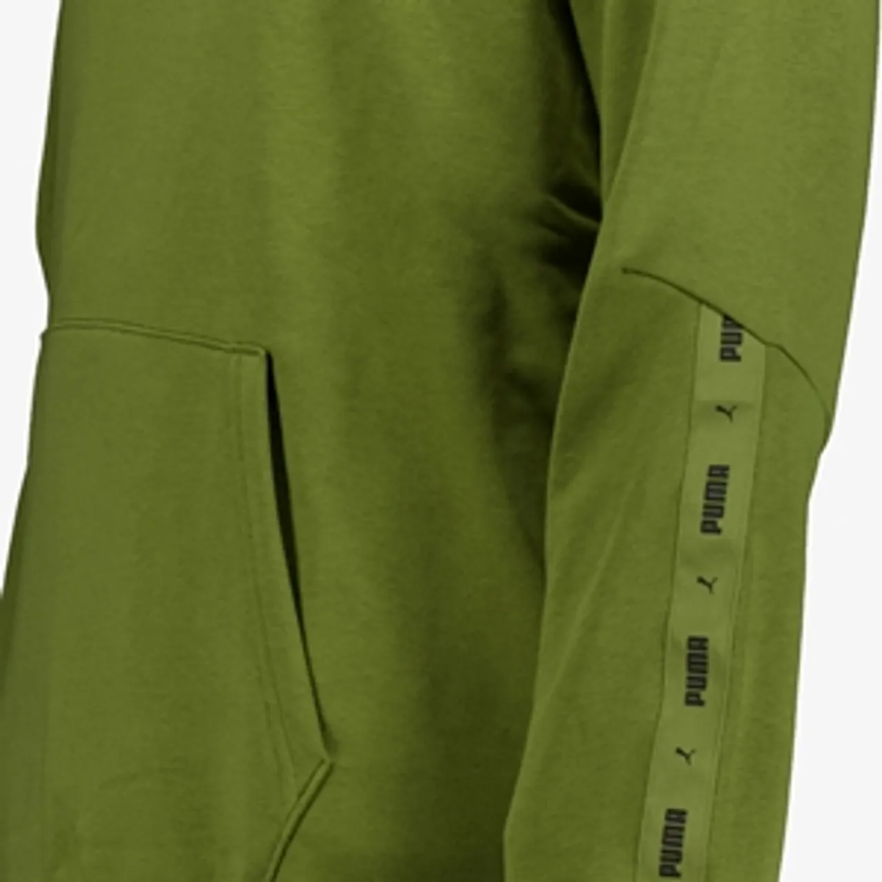 Puma Essentials Big Logo heren hoodie donkergroen