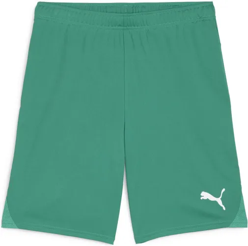PUMA teamGOAL Shorts Heren Sportbroek - Sport Green-PUMA Wit