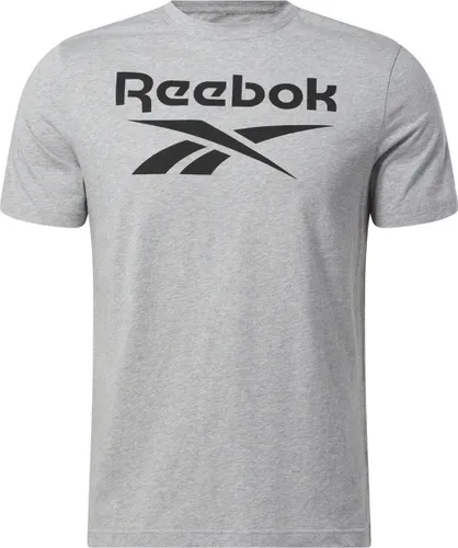 Reebok RI BIG STACKED LOGO TEE - Heren T-shirt - Grijs