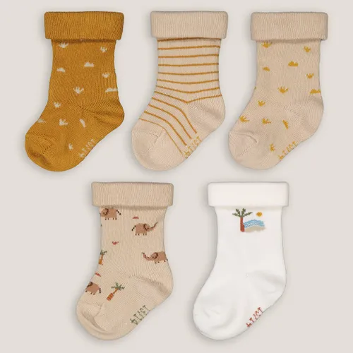 Set van 5 paar sokken