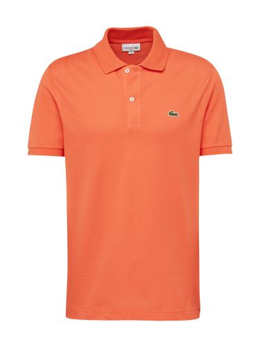Shirt  oranje